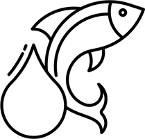 Nachhaltiger Fischfang