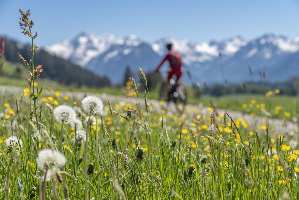 AlpenPower- Ehrliche Qualität aus Österreich