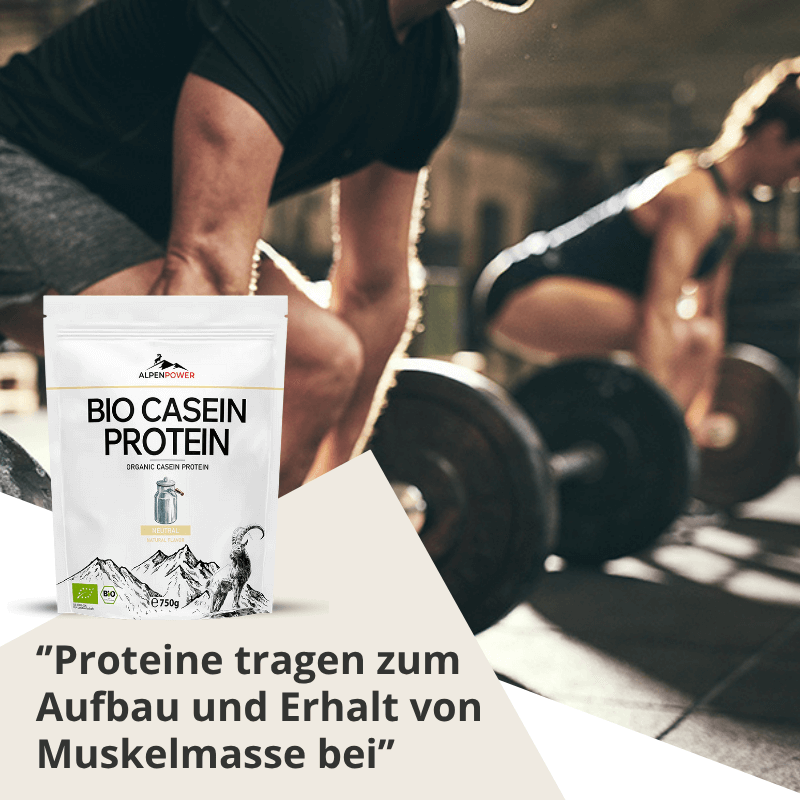 Casein_Muskelaufbau.png