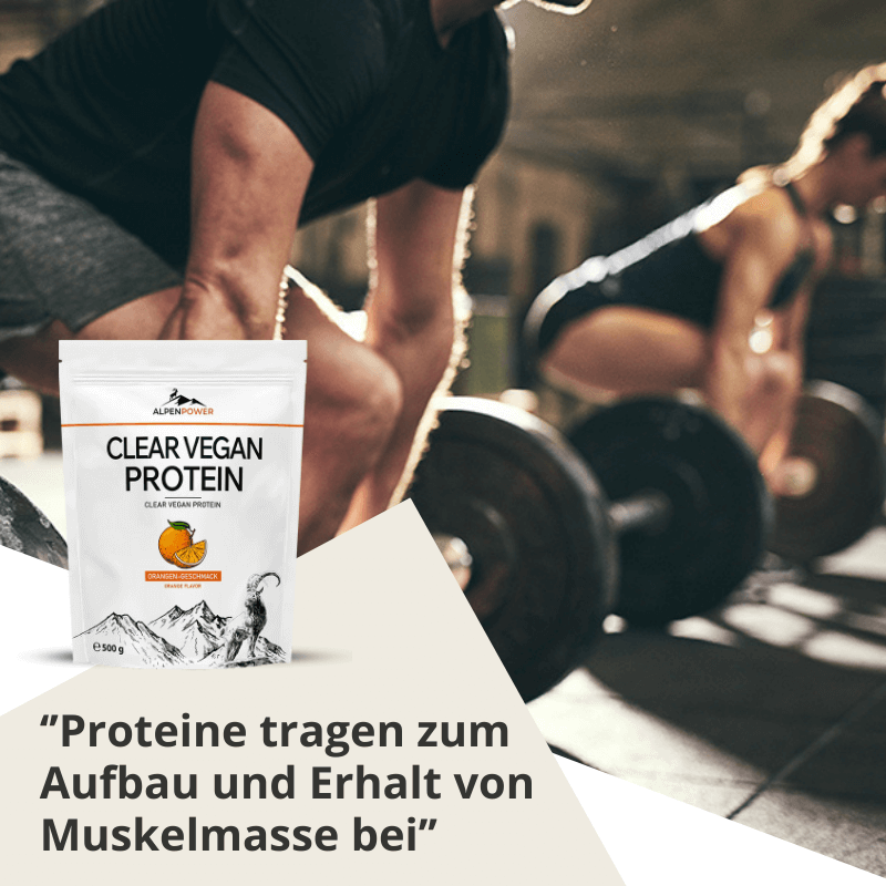 Muskelaufbau_ClearVeganOrange.png