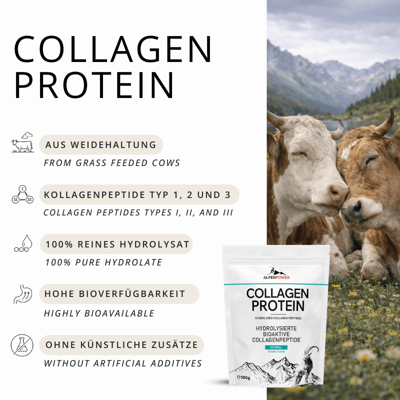 Vorteile_CollagenProtein.png